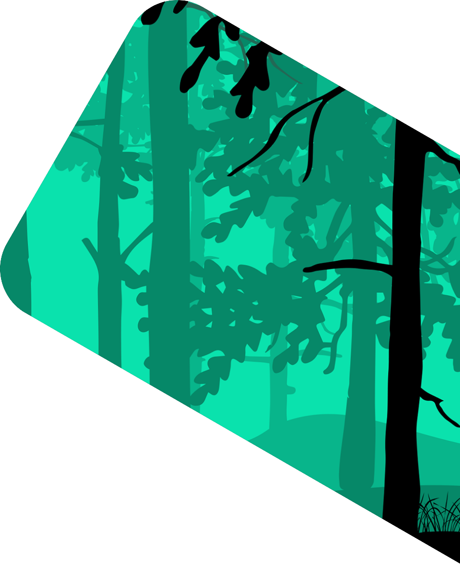 Zeichnung eines Waldes